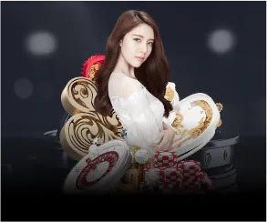 Hỗ trợ khách hàng vn365